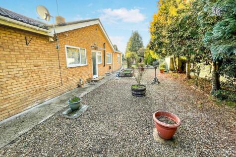 tlc_2434e606-09f6-464a-9bae-f59cdf2b6809_9f31d4d.j