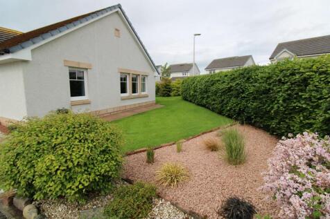 FRON GARDEN