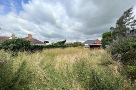 IMG_4193_5_origin...