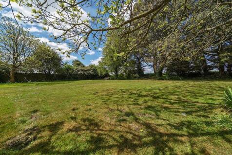 Extensive Front Lawn