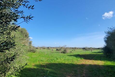 Plot with license in Campos