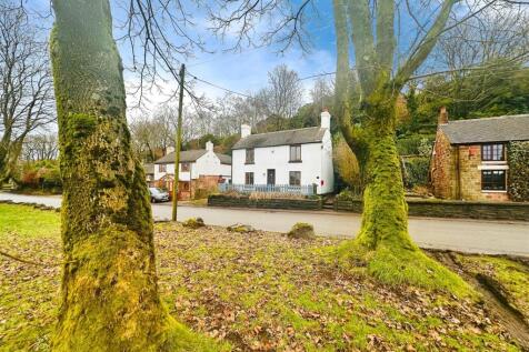 Denise White's Comments