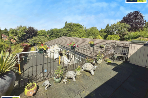 editedimage-b0c11ad2-e1f9-4959-9d63-8682668e6fd5 2