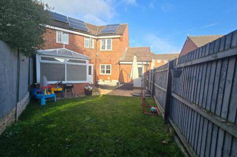 Back Garden