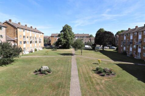 garden 3.JPG