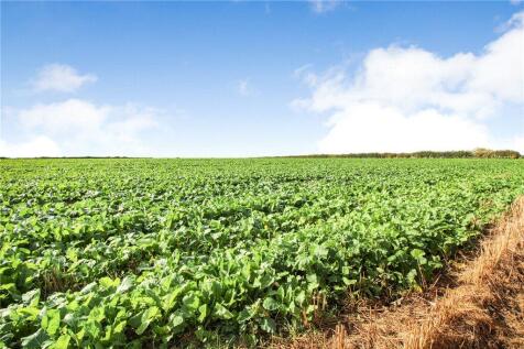 Open Fields