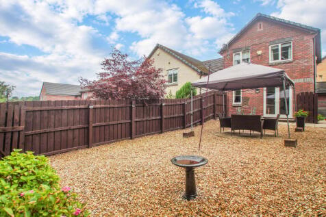Rear of the Property