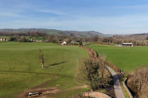 DJI_20260318091036_0168_D (1).JPG