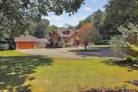 Driveway/Garden