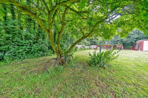 Webbs (74 of 105).jpg