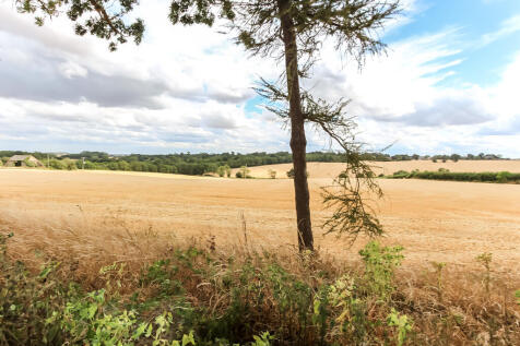 Rear Fields View