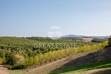 Panorama e Particolari