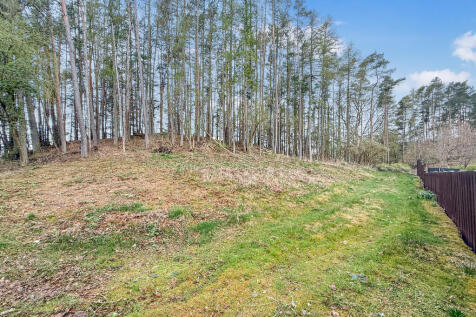 665824_2025041511...