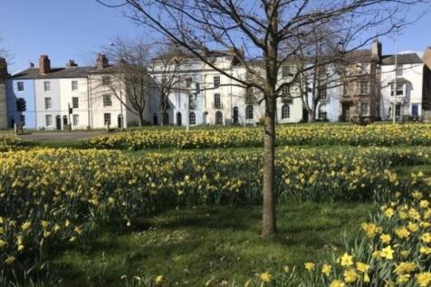 Front Shot - Angl...