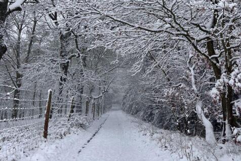 Driveway with snow