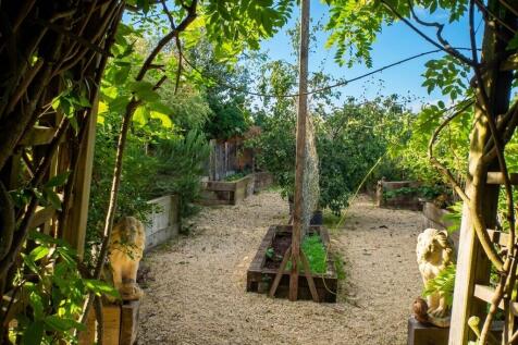 New garden pics (...