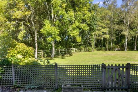 View From Patio Area