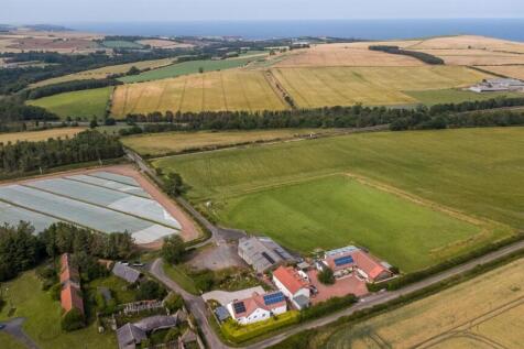 DJI_0382-HDR.jpg