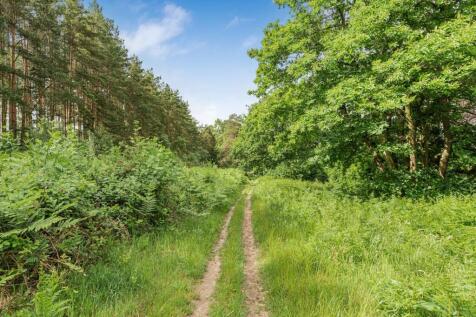 Woodland Walks