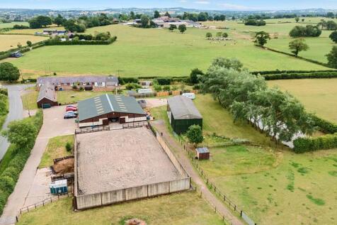 -6880ad0a134d3-l-1325221 D (7).jpg