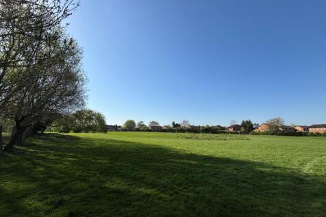 Field 2