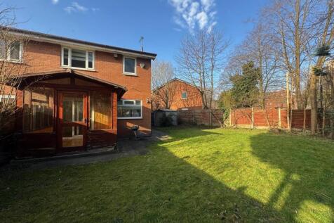 Back Garden