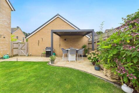 Property Image 41