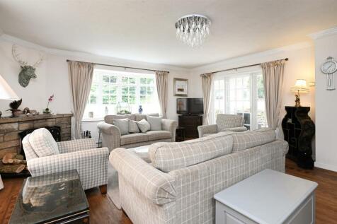TheSpinney-02.jpg