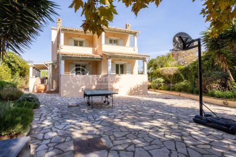 Back garden to house