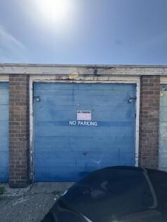 IMG_7284.jpeg