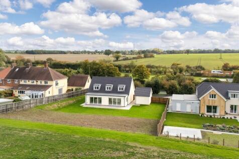 1440px-Elm Tree V...