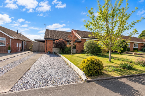 Front.png