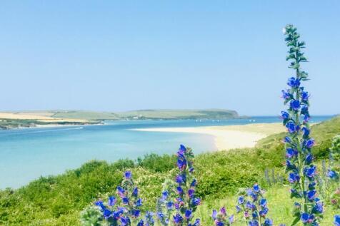 67f91c2580850_Beautiful Camel Estuary towards Ste