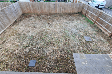 Garden image 2