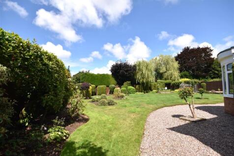 DSC_0324 - Copy (4).JPG