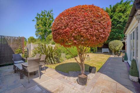 DSC03487-HDR.jpg