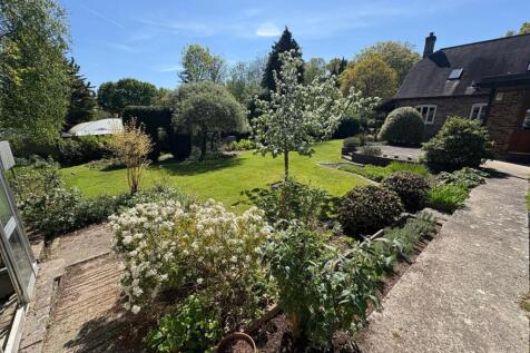 garden 4.jpeg