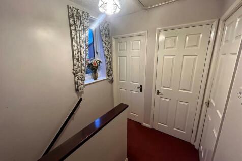 IMG_2747 (Large).JPG