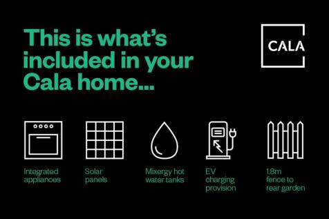 pinefields, livingston