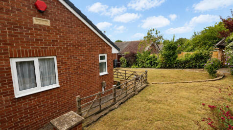 Garden 2