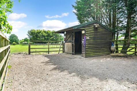 sketch_Ph8_5942839 - Copy.jpg