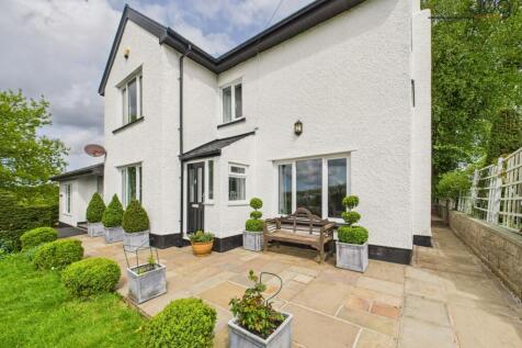 Welcome to Brindle Brow