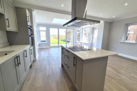 20250501_115641 EDIT