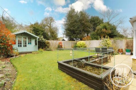 IMG_0336.jpg
