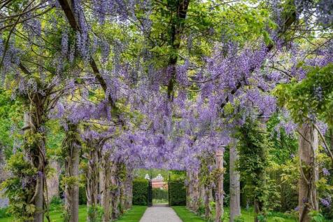 Wisteria Walk