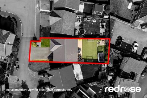 web_16 Old Thorns...