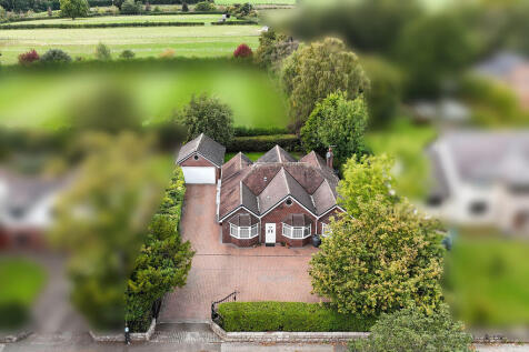 PLOT VIEW