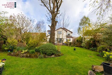 Back garden