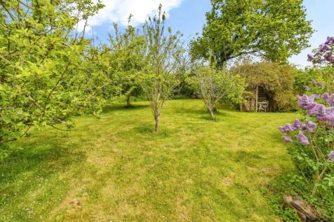 Orchard