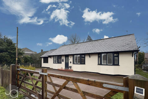 20260202_10115158...